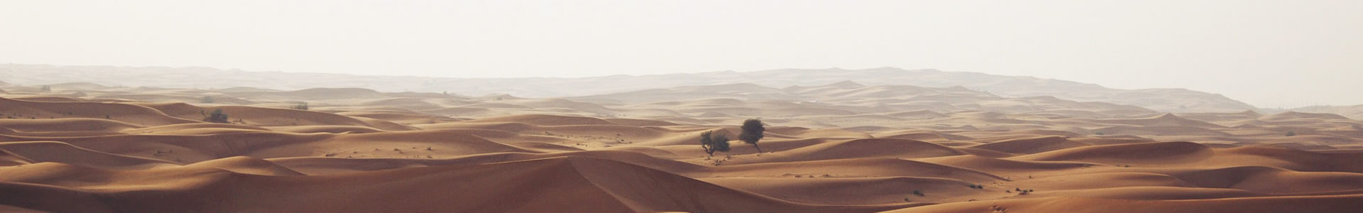 ﱣ½޹˾